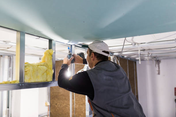 Best Residential Insulation in Howard, WI